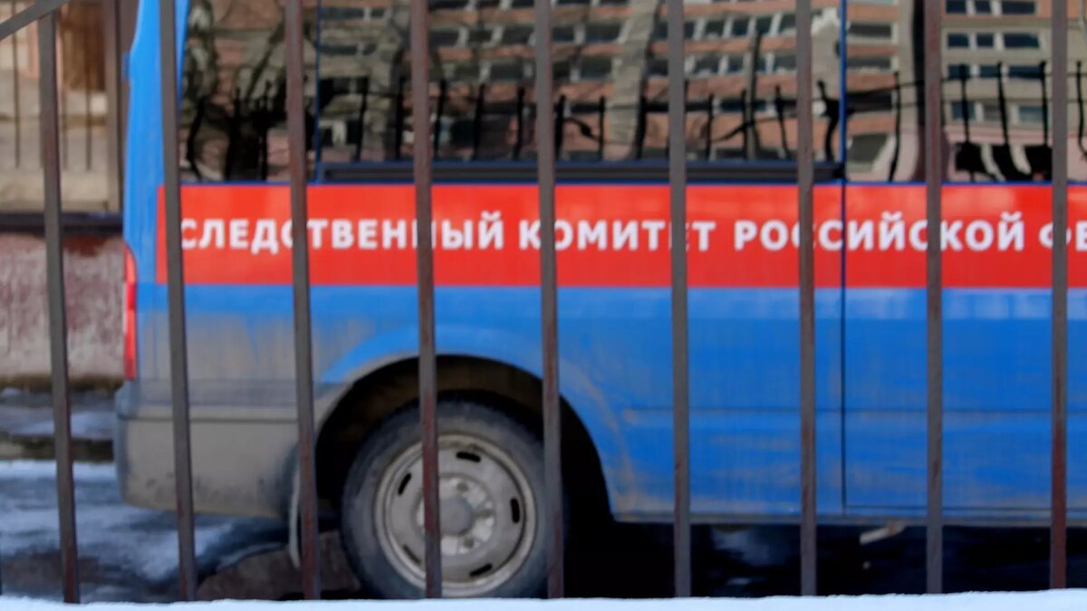     По информации в СМИ, ему вменяют организацию экстремистского сообщества.