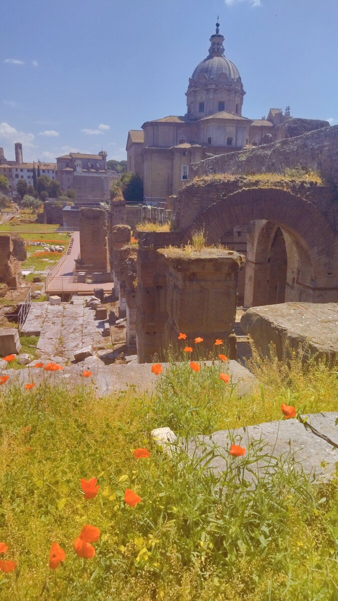 Рим, Fori Imperiali, фото автора. Именно эта фотография и украсила обложку моей книги