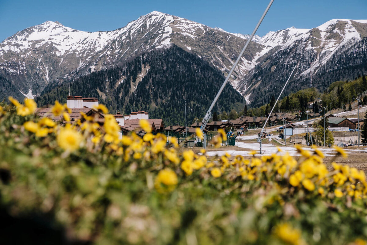 Фото: сервис Яндекс. Картинки