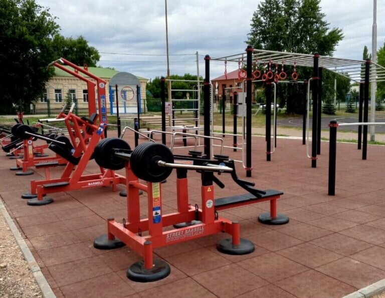    В Оренбуржье знаки отличия за выполнение норм комплекса ГТО получили более 82 тыс. человек Кристина Просвиркина