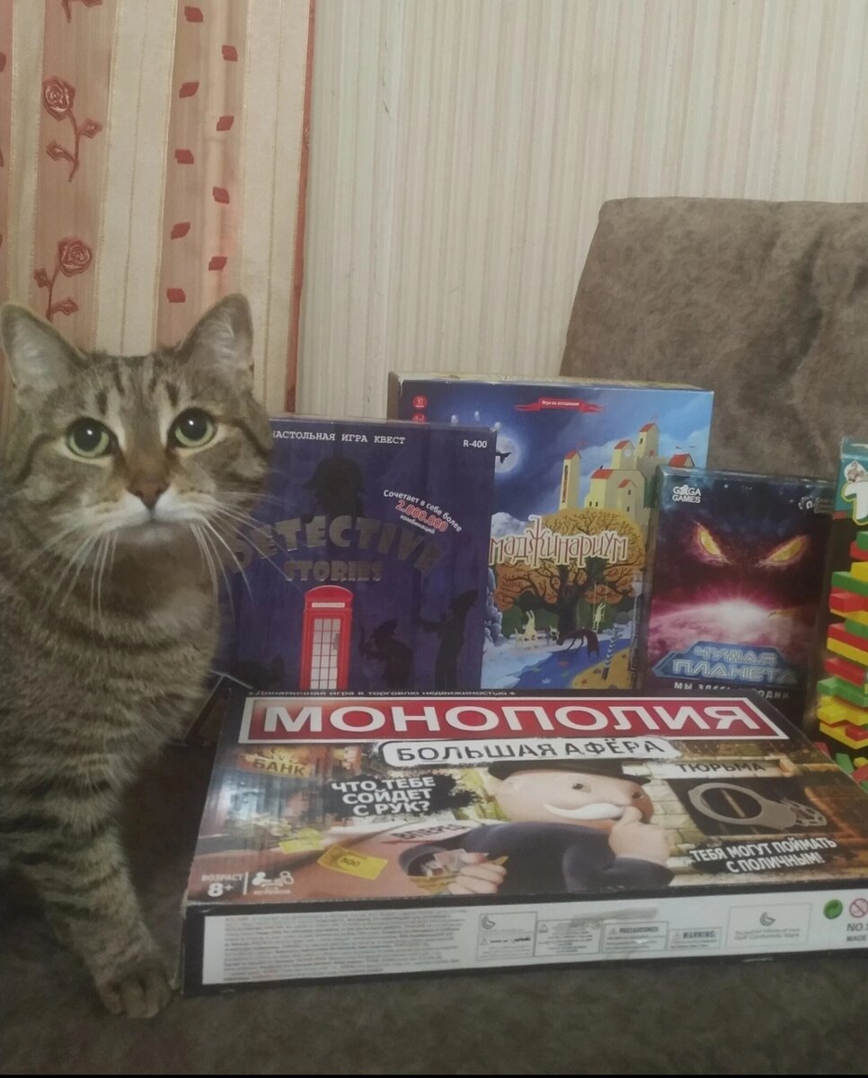 Провести вечер с детьми или друзьями, за игрой - отличный досуг!