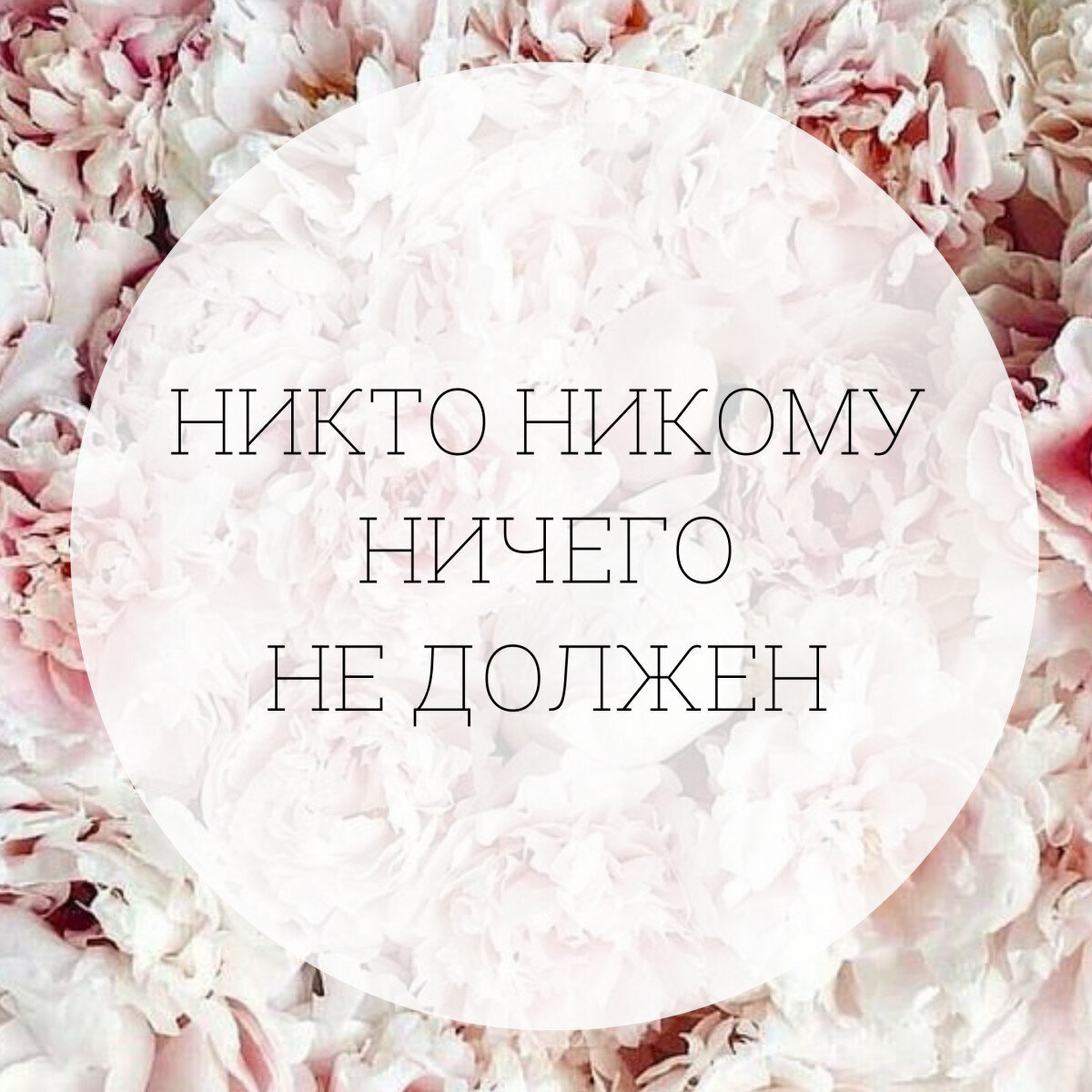 А вы с тобой никто. Никто никому ничего не должен. Тебе никто ничего не должен. Чем больше делаешь тем больше успеваешь. Никому ничего не должна.