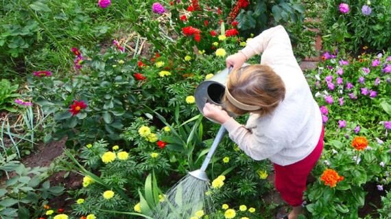 А ведь все так хорошо начиналось! 