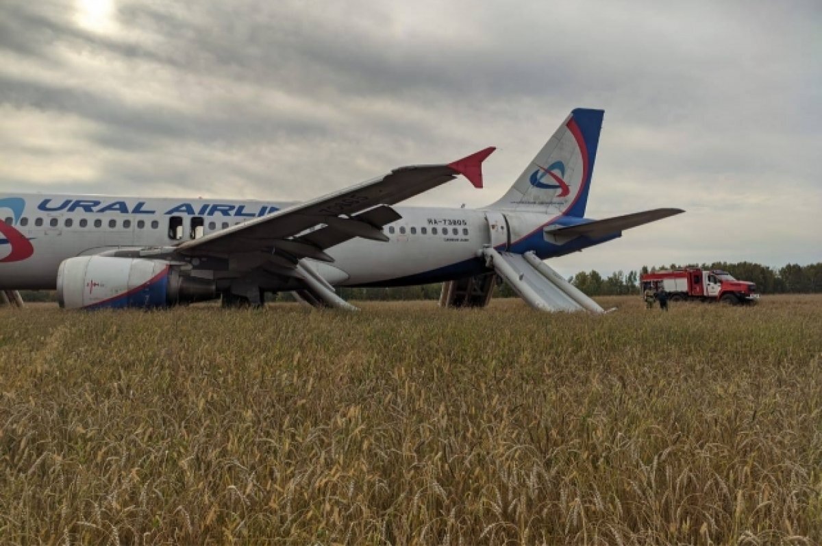    Пока неизвестна точная дата взлёта Airbus A320, всё зависит от погодных условий.