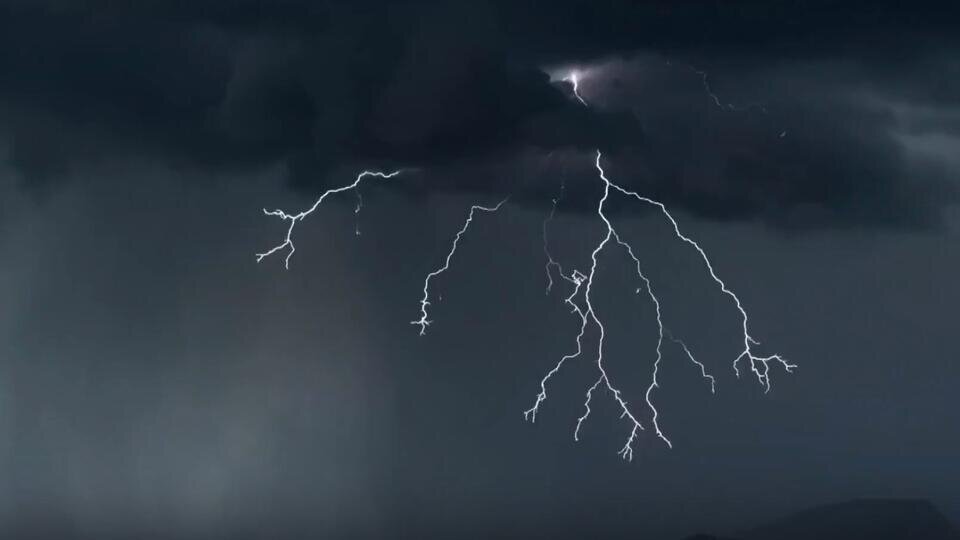 Фото: © Скриншот видео