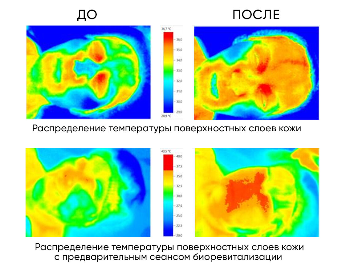 Источник изображения: https://science-education.ru/ru/article/view?id=28993&ysclid=lt4f1a5op5325678716