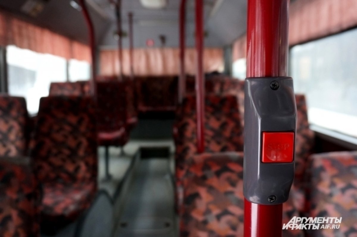 Автобус до пермяков. Автобус до пермяков. Розыгрыш автобуса. Автобус до пермяков. 14 автобус пермь.