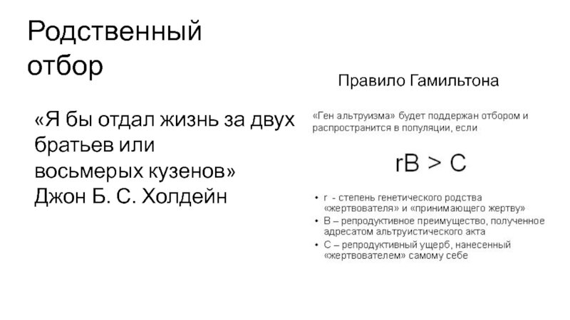 Если же у акта альтруизма несколько адресатов, то добавляем n — число принимающих жертву. nrB > C. Если неравенство соблюдается, то ген альтруизма сможет закрепиться и будет передаваться дальше. 