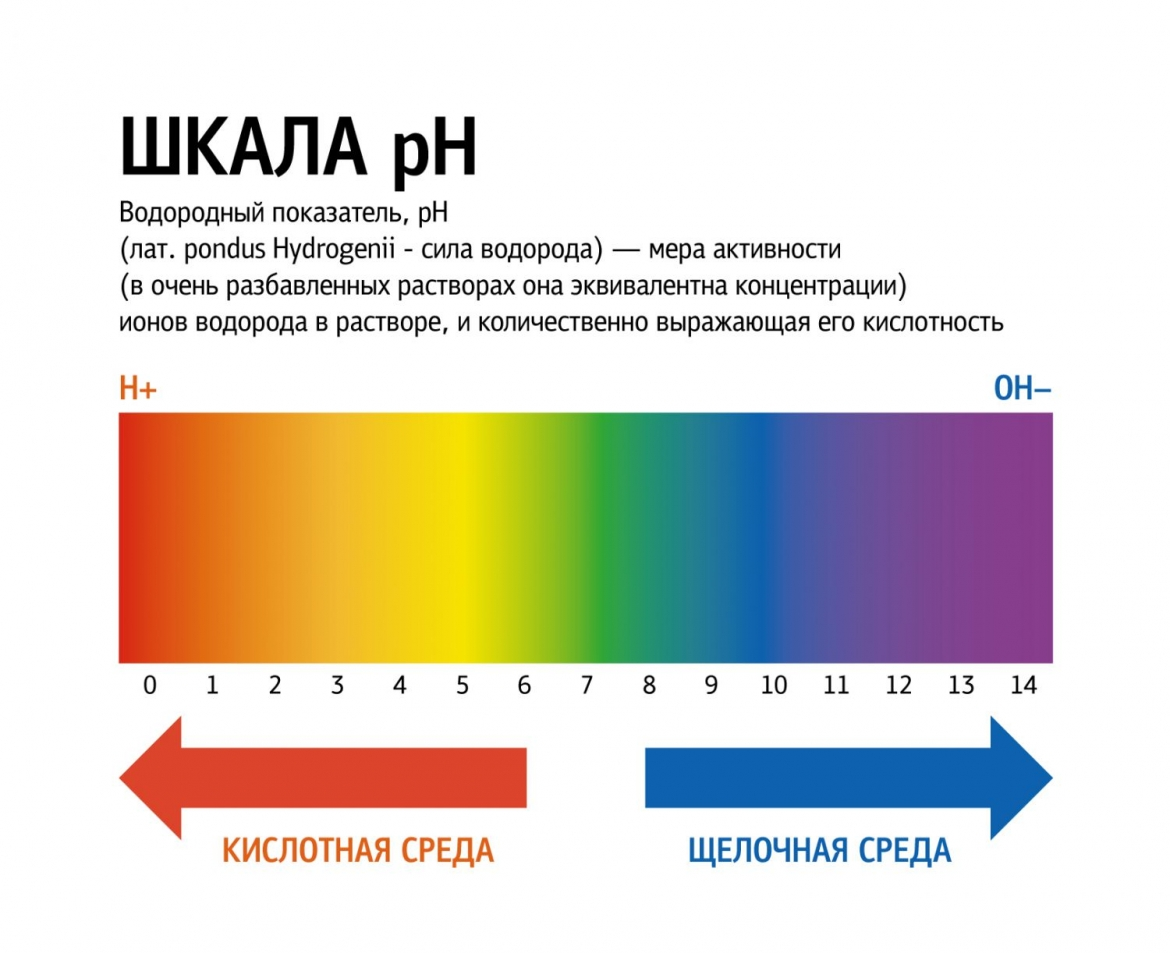 Шкала кислотности PH воды. Шкала кислотности-щелочности (PH).. Ph12 уровень кислотности. Показатель кислотности растворов РН.
