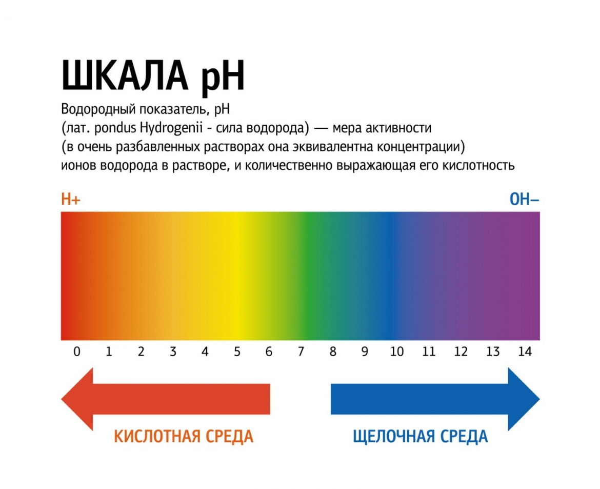 Рh. Уровень кислотности PH. Шкала кислотности-щелочности (PH).. Уровень кислотности PH воды. Ph12 уровень кислотности