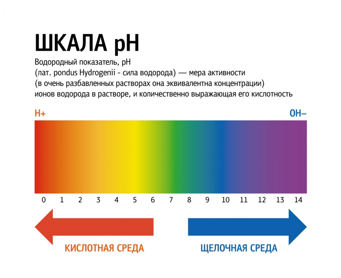 Определить кислотность крови. Шкала кислотности PH воды. Шкала кислотности-щелочности (PH).. Ph12 уровень кислотности. Показатель кислотности растворов РН.