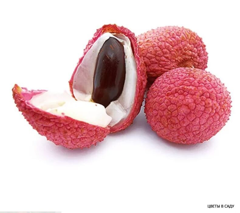 Личи драконий глаз. Личи фрукт что напоминает по вкусу. Тайская ягода личи. Кожура личи. Личи литчи.