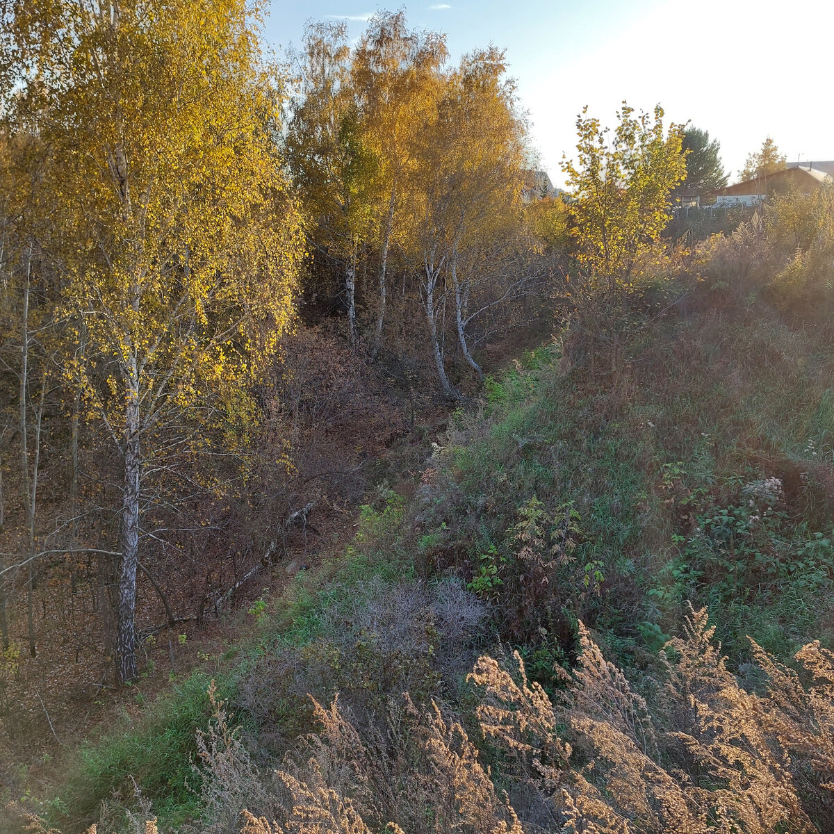 Овраг картинка