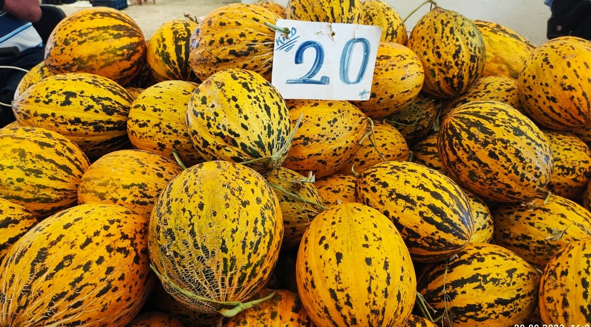 Для тех, кому интересно: килограмм дыни стоит 20 лир, что составляет около 75 рублей за килограмм. Вес дыни в среднем 3-4 килограмма.