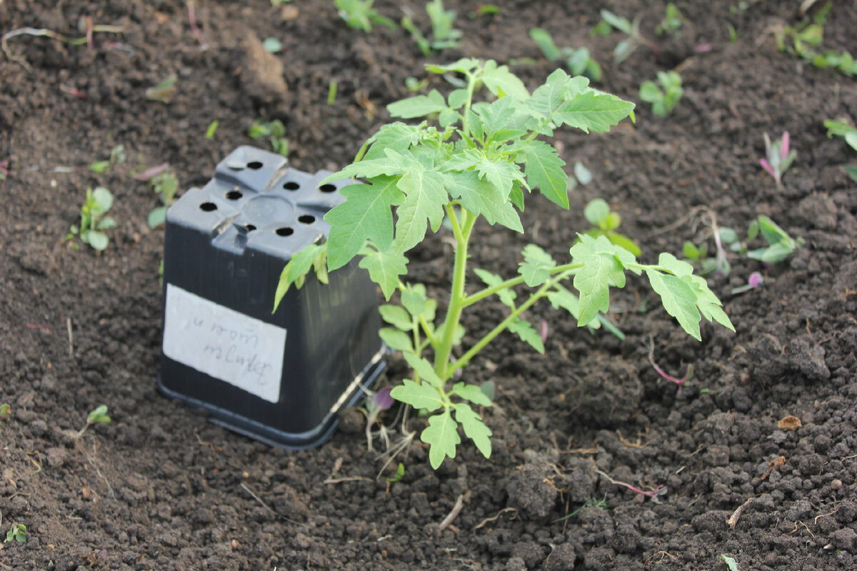 23 апреля 2023