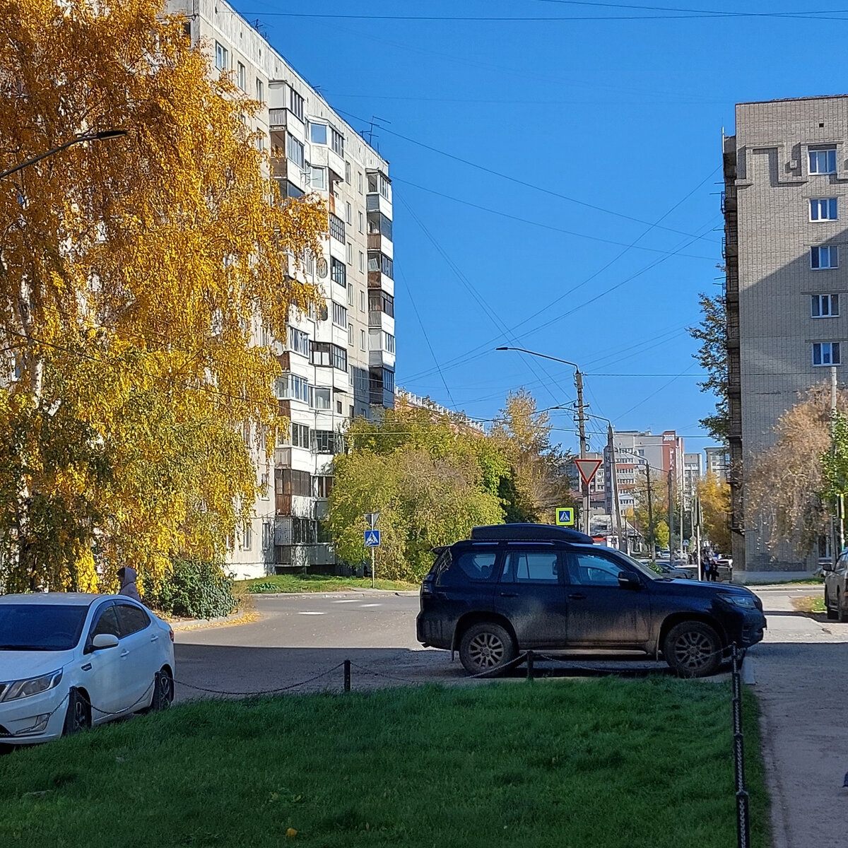 Золото осени в городе. Гуляю в сторону налоговой. Смотрю на дома и деревья  | Дом, сад, телескоп, Алтай | Дзен