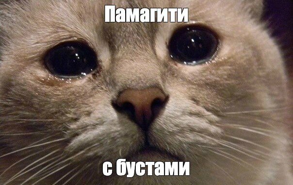 Источник: t.me