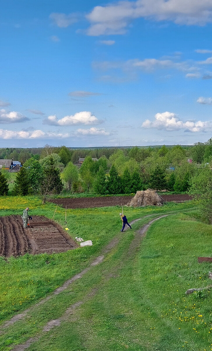 Двое трудятся, третий помогает морально. Мои мужчины как раз сажают овощи. А вот что распахано за шалашом, там картофелем засажено и тыквой. Но это только половина. 