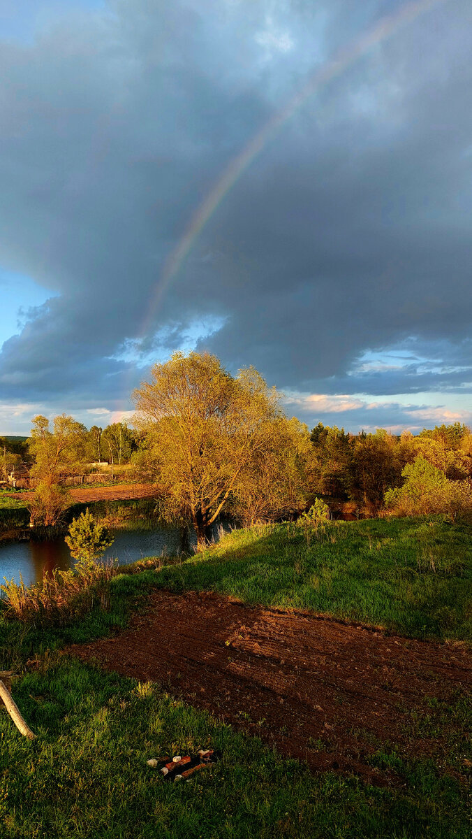 Вот этот кусочек разработали. Два ведра стекла и ведро гвоздей. Горочку кирпичей из него вытащили.