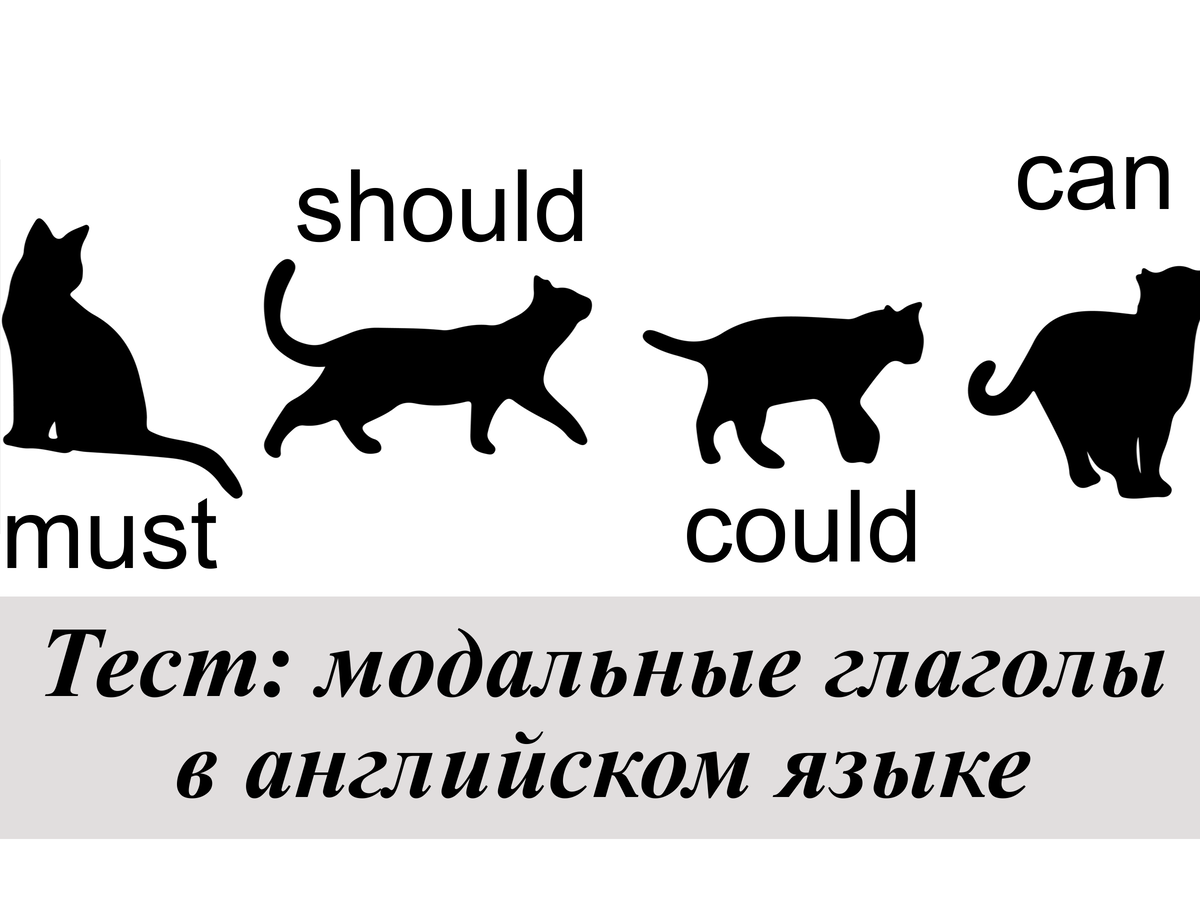 Тест: модальные глаголы в английском языке | English Cats | Дзен