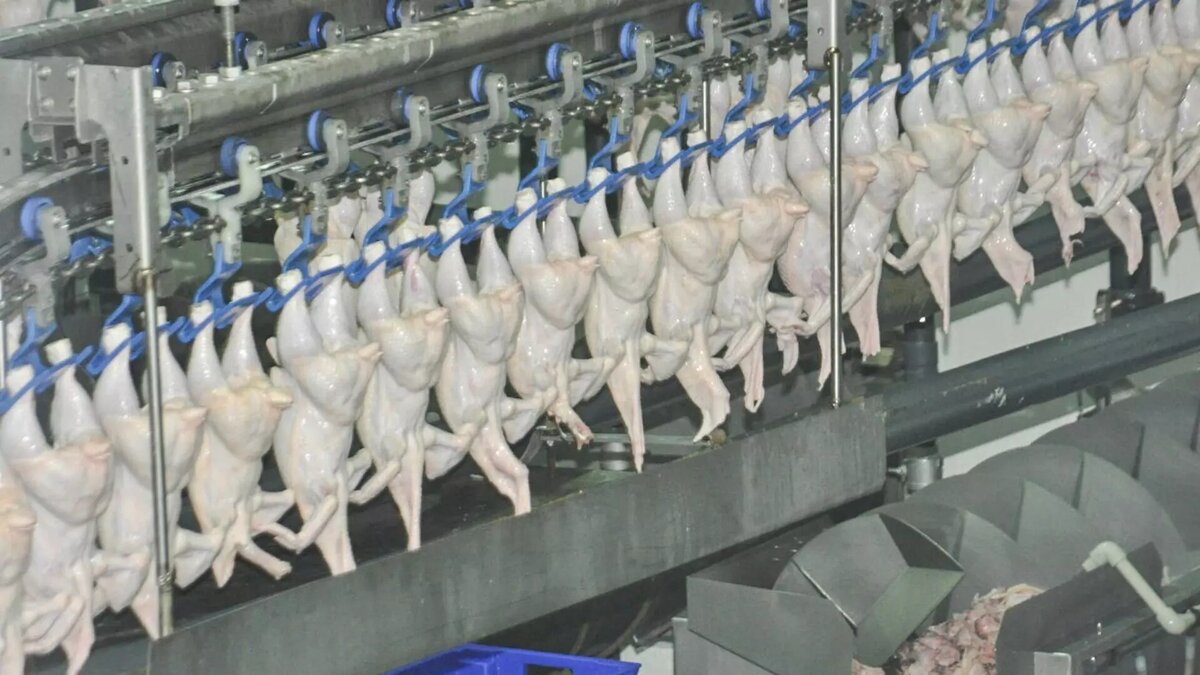     Банк «Траст» закрыл сделку по продаже сельскохозактива.