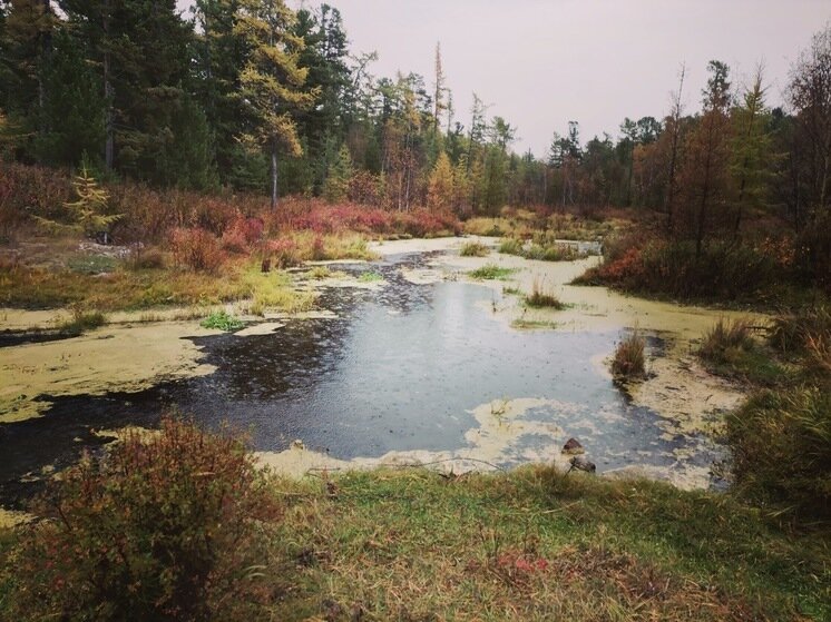   МК в Бурятии