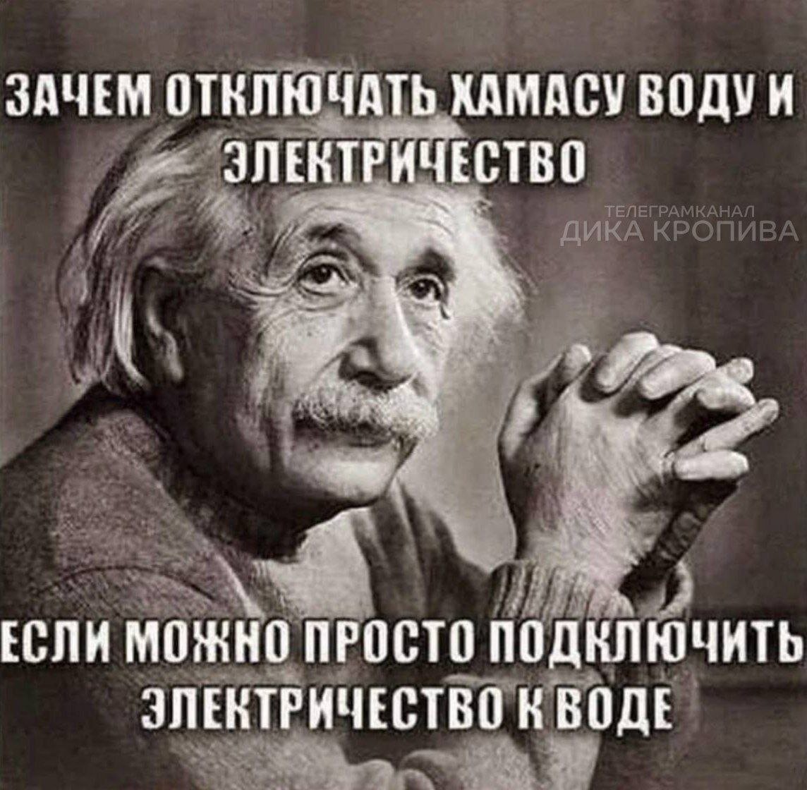 Выключивший почему и. Выключивший почему и