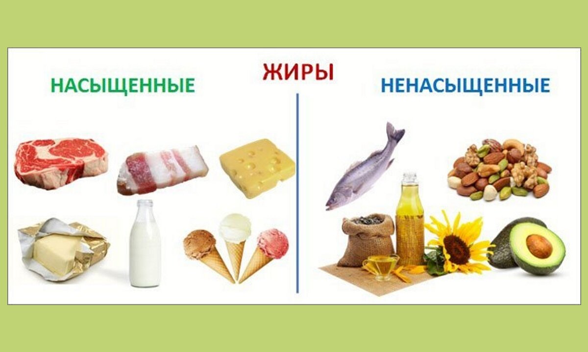 Источники насыщенных жиров являются