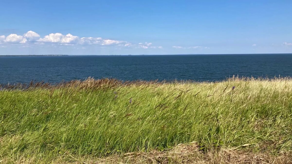     В Пестречинском районе Татарстана подвели итоги проверки после заявления граждан из-за ограничения доступа к реке Куюковка. Об этом сообщили в пресс-службе региональной прокуратуры.