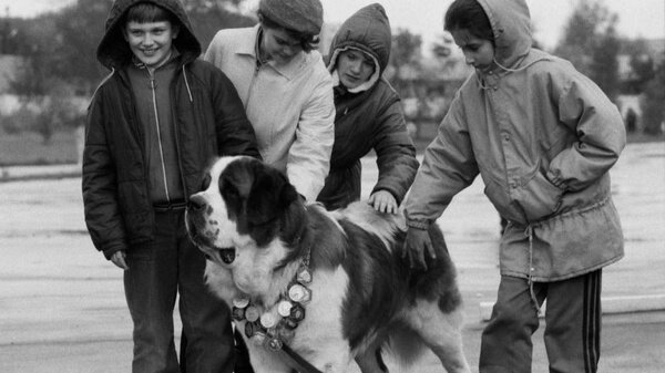 Какие породы собак обожали граждане Советского Союза? Фото © ТАСС / Олег Булдаков