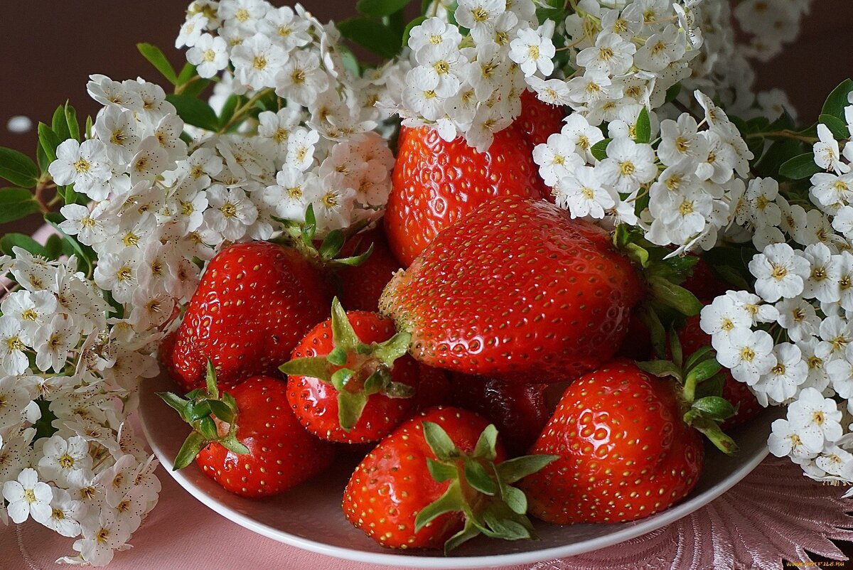 Клубника (Photo from Internet)