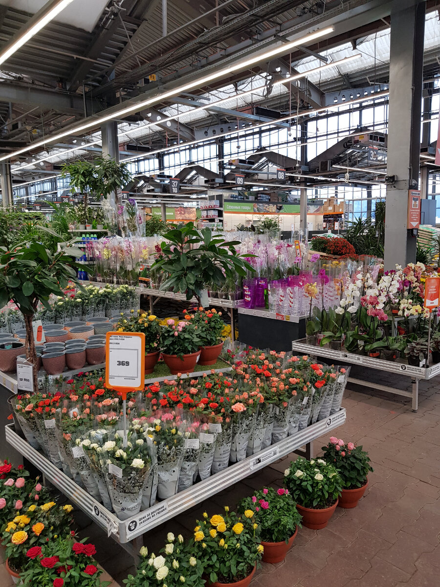 розы и орхидеи