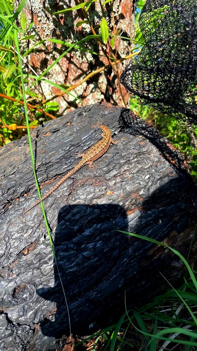 ФОТО ДОЧЕРИ ДЛЯ ПРЕВЬЮ