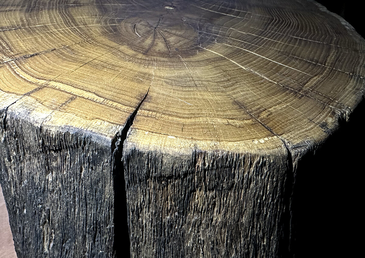    Коллапс на границе с Казахстаном: российский лес не может проехать в Среднюю Азию