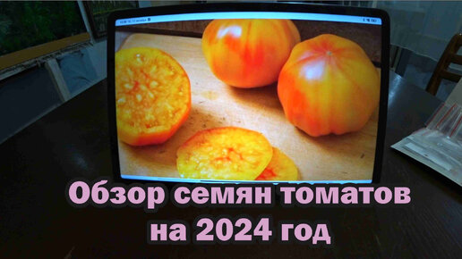 Коллекционные семена томатов на 2024 год. Обзор 1