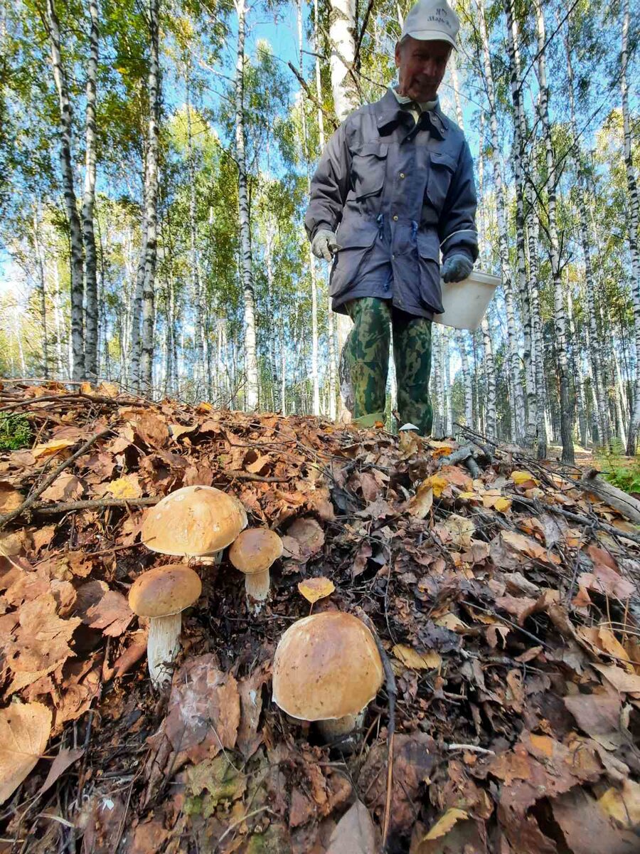 Не брать? Оштрафуют? (фото автора)