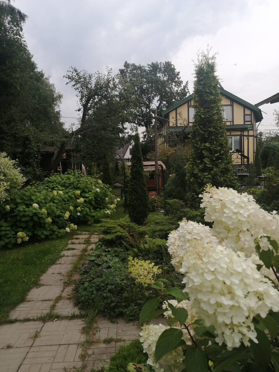 Площадь моего Сада бесконечности 17 соток. То есть он вполне себе конечный :-).