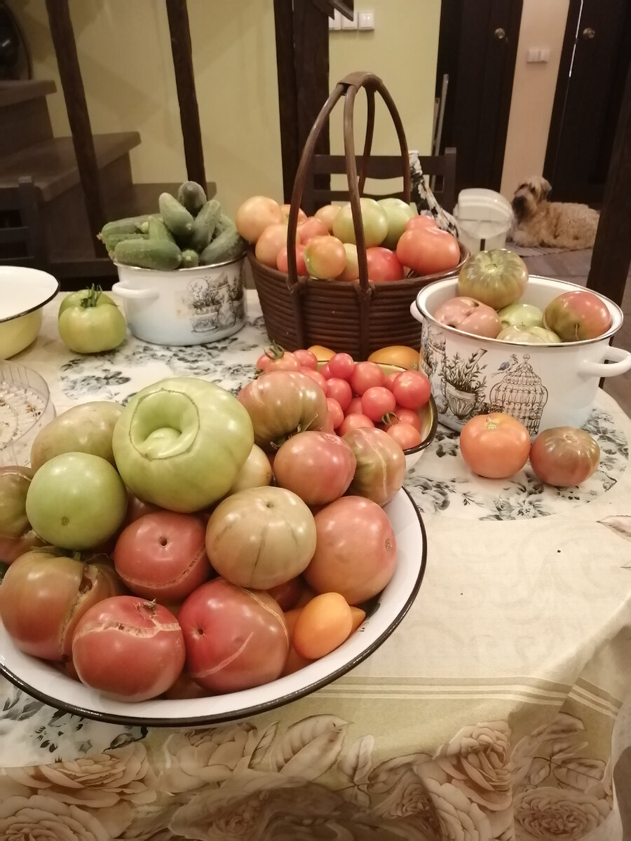 И вновь продолжается бой.