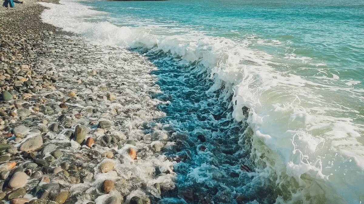     Более 6 млн отдыхающих принял Сочи с начала 2023 года. К концу курортного сезона прогнозируемая цифра увеличится до 7,4 млн человек. Это на 3% больше, чем в 2022 году, который был рекордным.