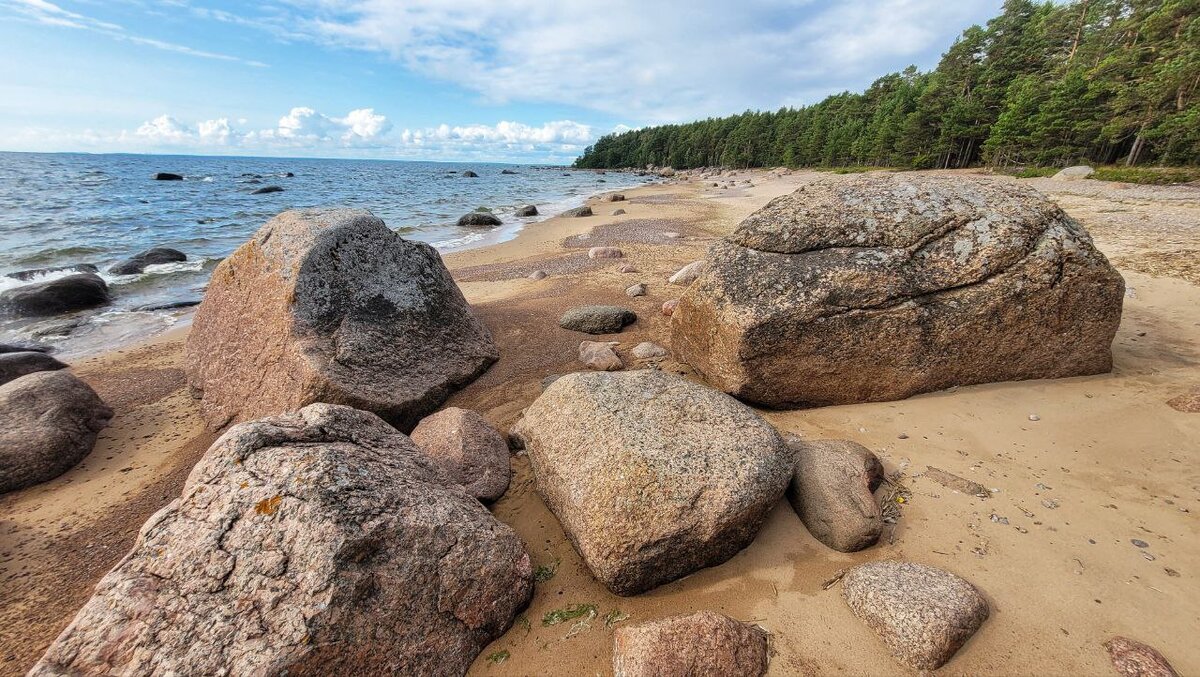 Так выглядит левая сторона экотропы