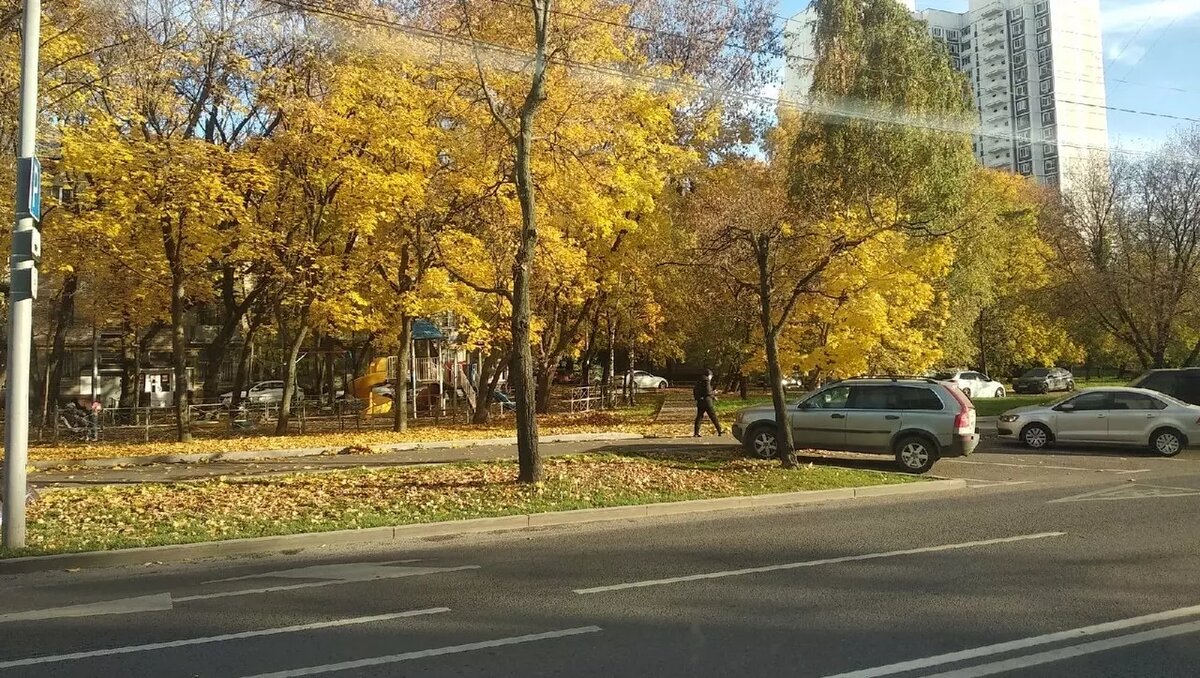     Дайджест событий за 12 октября в Тюменской области.