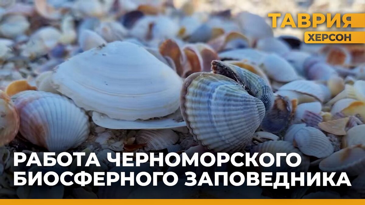  Корреспонденты «Таврии» посетили Черноморский Биосферный Заповедник и узнали перспективы его развития