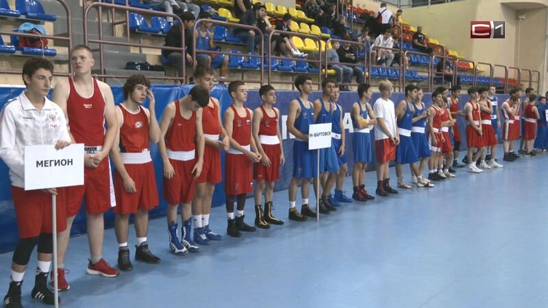    В Сургуте стартовал межрегиональный турнир по боксу