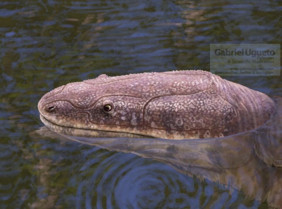 Партизанит.