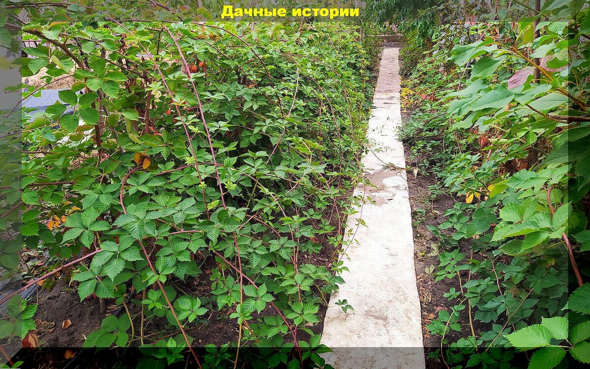 https://vk.com/photo-159774511_457262158