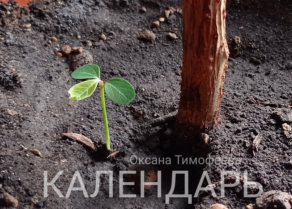 Календарь