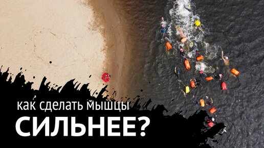 Как сделать мышцы сильнее?