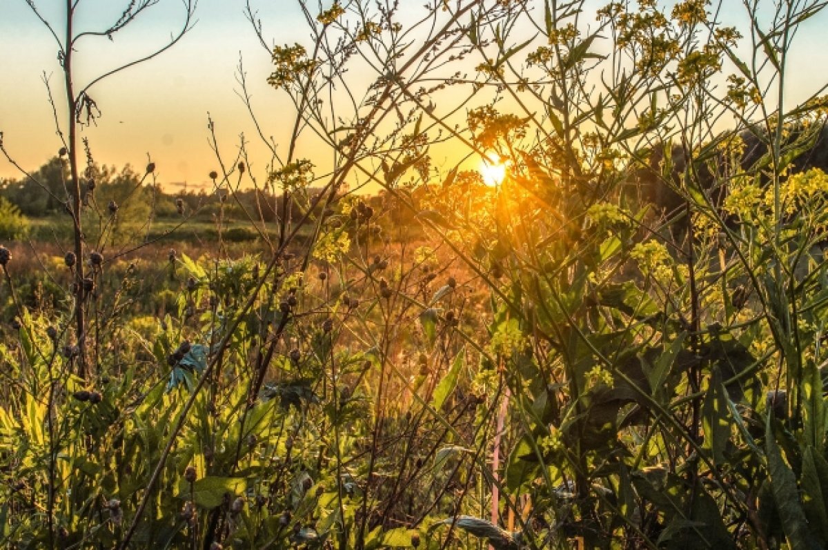    13 октября в Туле прогнозируют сильный ветер и до +12