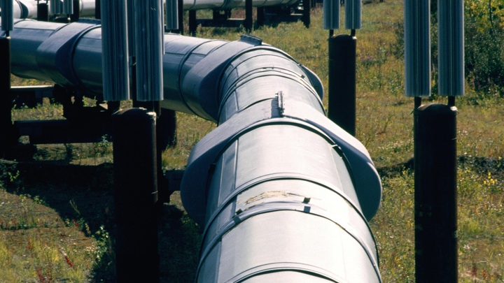 ФОТО: NORBERT EISELE-HEIN/HTTP://IMAGEBROKER.COM/#/SEARCH//GLOBALLOOKPRESS 