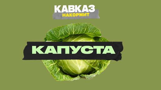 Капуста | Кавказ накормиит